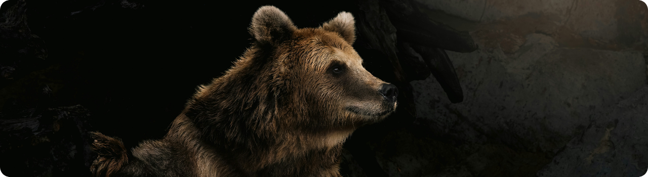 A brown bear emerges from a dark cave — an image accompanying an article on new bearish leveraged ETF listings.