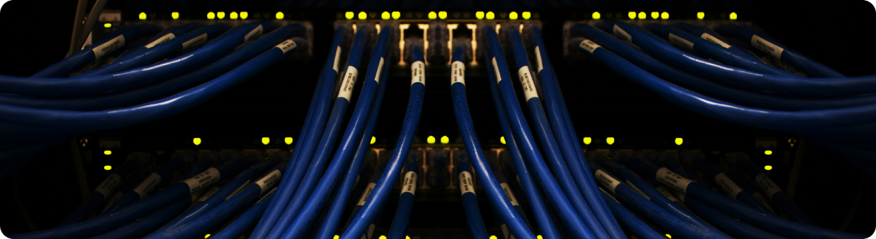 Bundled blue network cables curving into a dark server rack patch panel lit by rows of yellow indicator lights.