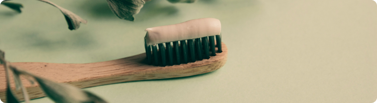 Bamboo toothbrush loaded with white toothpaste, resting on a pale green surface beside dried leaves